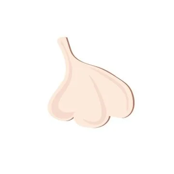 Garlic on a white background. Vegetable. Illustration. Stock Illustration