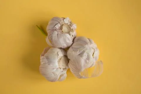 Garlic on yellow background Stock Photos
