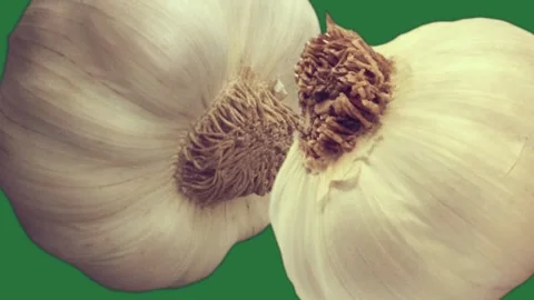 Garlics Dynamic Isolated Green Screen Stock Video Stock Footage 338017370