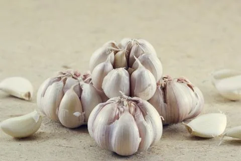 Garlics on the paper texture background Fotos Stock