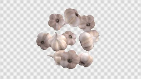 Garlics rotate in transparent background 動画素材 148503508