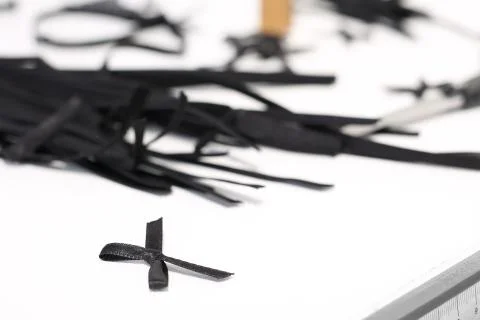 Garment accessories. Stock Photos
