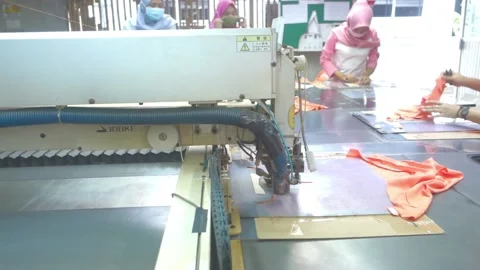 Garment laser technology Stock Footage 149086877