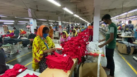 Garments Workers Working in a ready made garments cutting section Stock Footage 167114772
