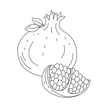 Garnet doodle Vector illustration coloring book for Kids Stock Illustration