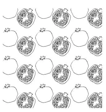 Garnet pattern on white background llustration hands drawing pomegranate 스톡 일러스트