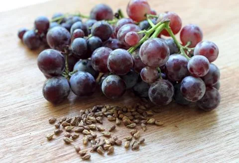 Garpe seed Foto stock