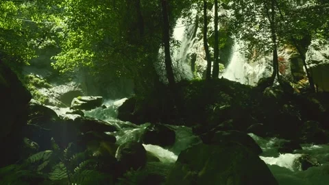 Garrulous stream in a forest Stock Footage 272360766