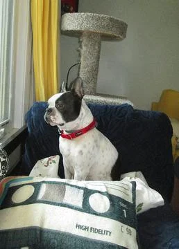 Garry Window Stock Photos