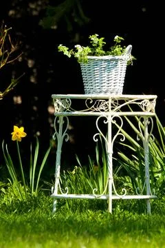 Gartentisch White garden table in spring, dark background Copyright: xZoon... 스톡 사진