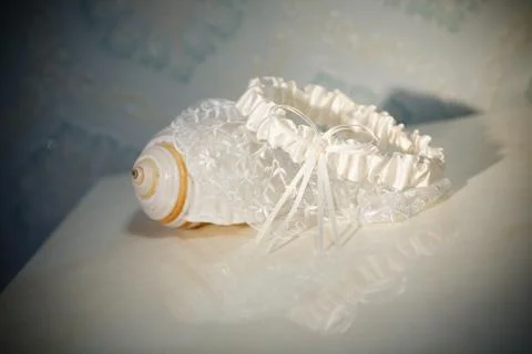 A garter and a seashell Stock Photos
