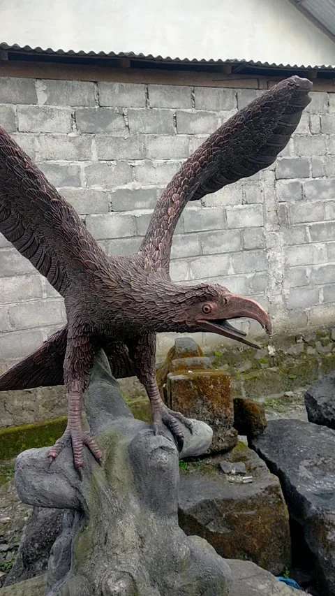 Garuda Bird Video stock 188443452