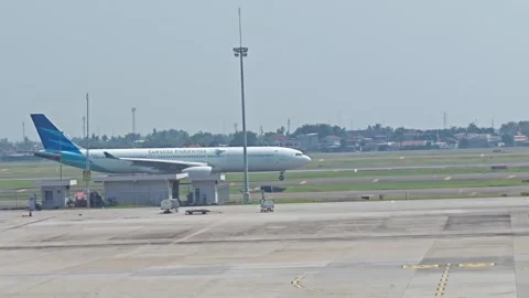 Garuda has landed Stock Footage 324599795