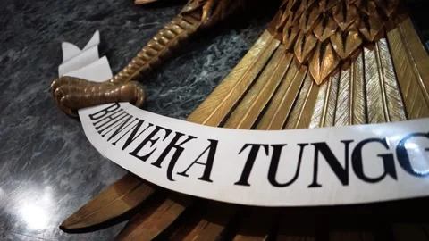 The Garuda Indonesia emblem Stock Footage 307209520