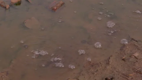 Gas bubbles going up through mud and water Stock Footage 147013049