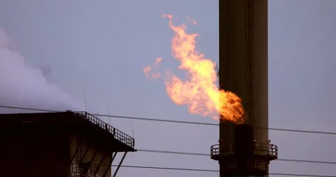 Gas flame 스톡 동영상 141585691