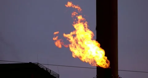 Gas flame Stock Footage 141585864
