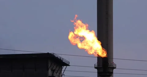 Gas flame 스톡 동영상 141586009