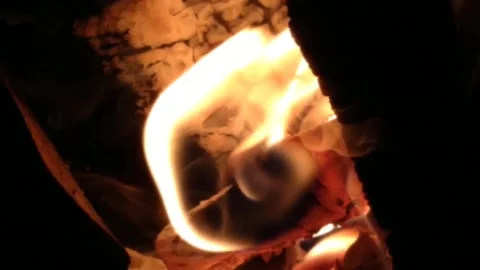 Gas heating in the apartment in the fireplace Stock Footage 201813624