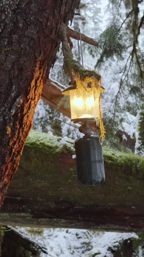 Gas Lantern Hanging on Tree in Snowy Winter Forest – Vertical Video Stock Footage 311908405