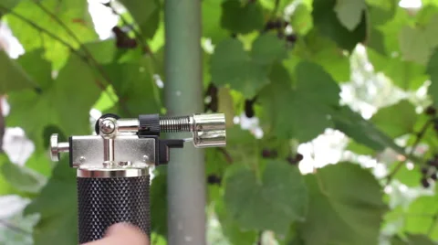 Gas Lighter 3 Stock Footage 55013034