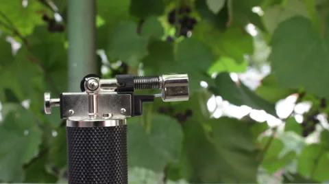 Gas Lighter Video stock 55012429