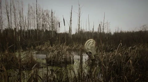 Gas mask in dead forest Video stock 58453093
