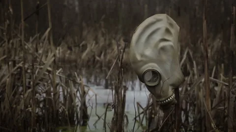 Gas mask in swamp Stock-Footage 58453084