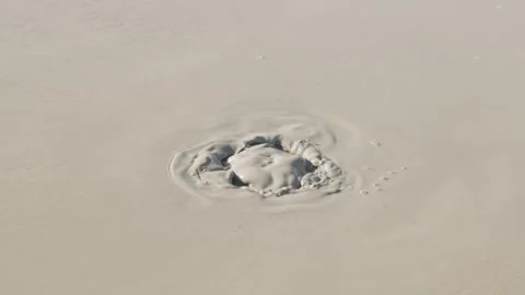 Gas outlet and bubbling in a mud volcano Stock-Footage 274868372