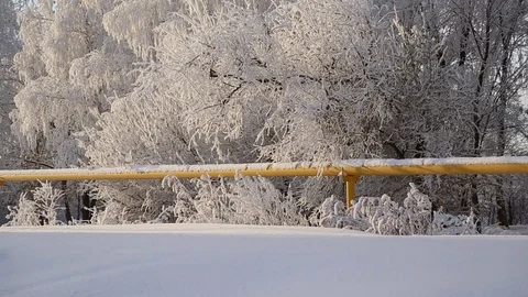 A gas pipe in a snowy forest Stock Footage 71577754