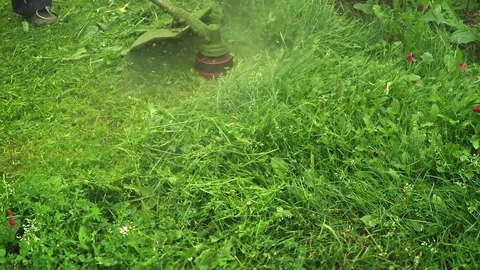 Gas Powered Line Trimmer Cutting Grass in Slow Motion 動画素材 77866831
