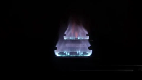 Gas stove flame Stock Footage 317287062