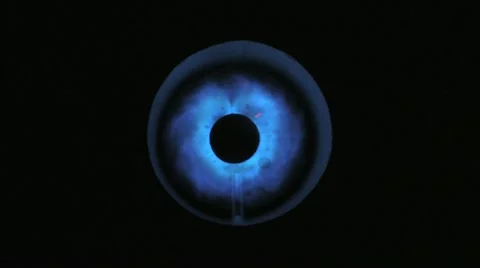 Gas_stove_2 Stock Footage 11610838