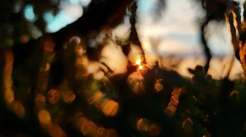 Gash at dawn Stock Photos