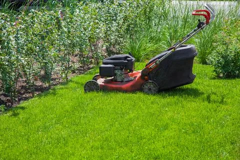 Gasoline engine lawn mower for backyard care and lawn. Stock Photos