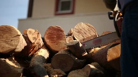 Gasoline powered Chainsaw slicing Trees Stock Footage 75460488