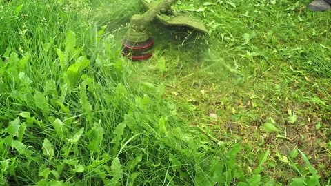 Gasoline Powered Line Trimmer Cutting Grass in Slow Motion 動画素材 77046749