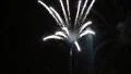 Gasparilla Fireworks HD Footage