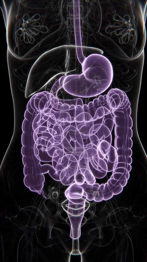 Gastrointestinal and Digestive problems Indications video in female Video stock 301071963