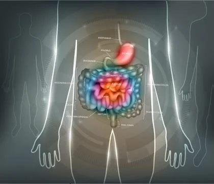 Gastrointestinal tract abstract background Stock Illustration
