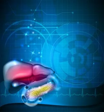 Gastrointestinal tract background Stock Illustration