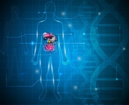 Gastrointestinal tract blue technology background Stock Illustration