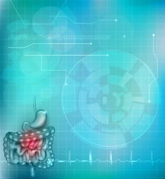 Gastrointestinal tract Stock Illustration