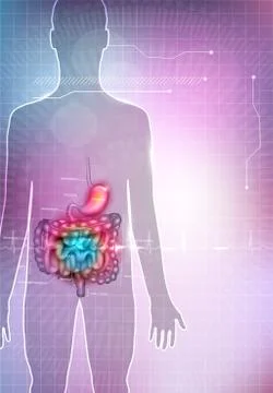 Gastrointestinal tract Stock Illustration