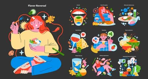 Gastronomic Exploration Set. Vector illustration. Stock Illustration