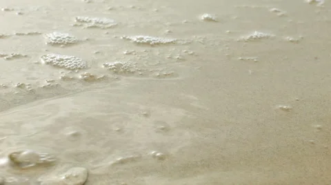 Gastropod shell on the sea sand Stock Footage 44987853