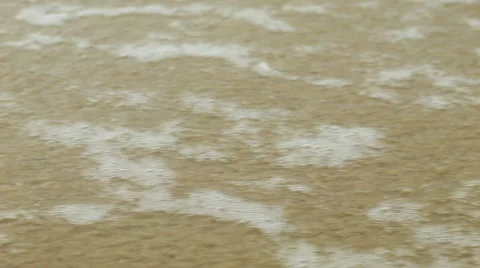 Gastropod shell on the sea sand washed away by a wave Stock Footage 44994385