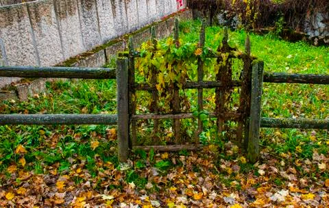 Gate and leaves Stock Photos