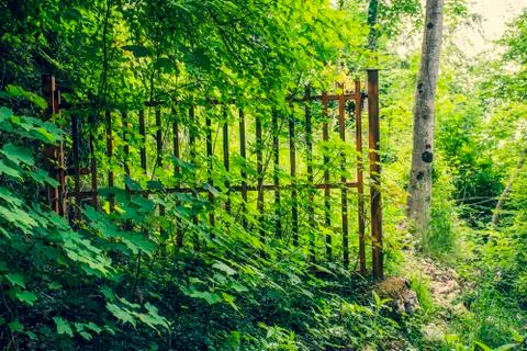 Gate and nature Stock Photos