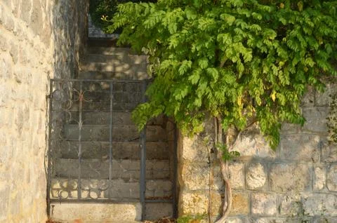 Gate and stairs Stock Photos